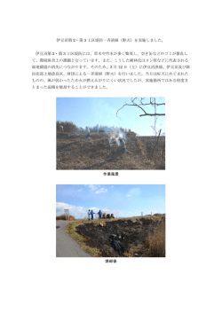 伊豆沼第 2・第 3 工区堤防一斉清掃（野火）を実施しました。
