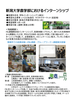 新潟大学インターンシップ事例