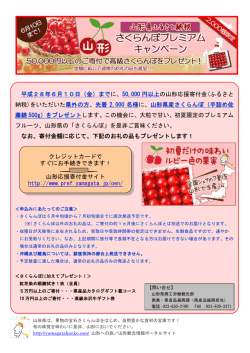 リーフレット (PDF documentファイル サイズ： 209Kb)