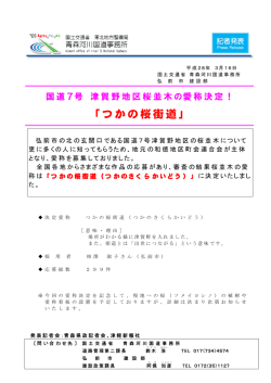 青森河川国道事務所国道7号津賀野地区桜並木の愛称決定！ 「つかの