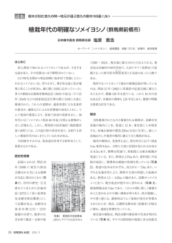 植栽年代の明確なソメイヨシノ（群馬県前橋市）