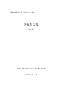 調査報告書（公表版）_151127313 KB