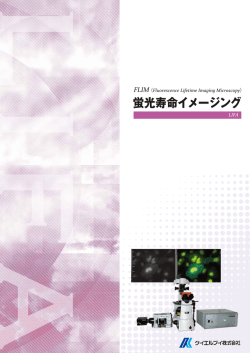 蛍光寿命イメージング