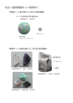 化石・鉱物発掘キット販売中！