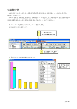 収益性分析