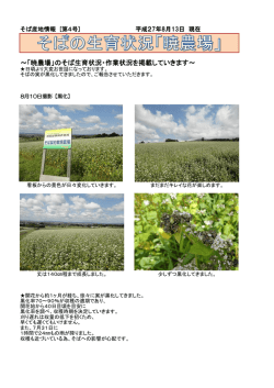 H27 暁農場 産地情報④