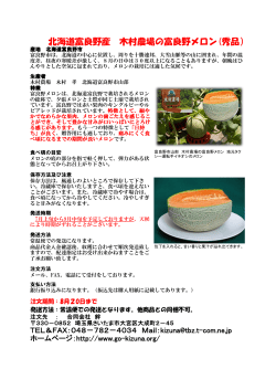 北海道富良野産 木村農場の富良野メロン(秀品）