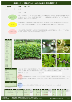植栽カード ： 植栽プランナーのための樹木・草花基礎データ ヒサカキ