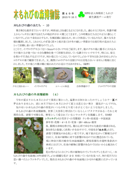 第39号 2015年 10月