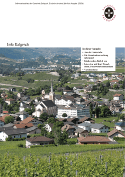 Info Salgesch