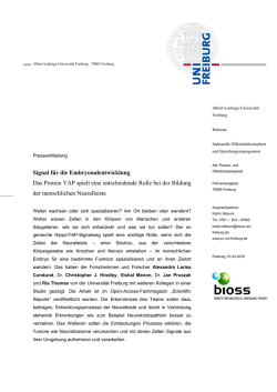 Betreff-Zeile: Times New Roman, 13pt