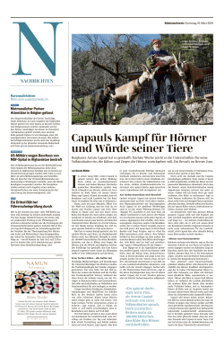 Capauls Kampf für Hörner und Würde seiner Tiere