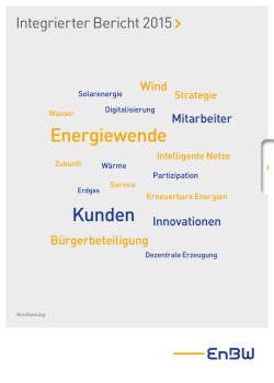 EnBW-Bericht 2015 (19,2 MB ) PDF