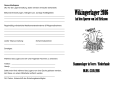 Wikingerlager 2016 - BPS Stamm Turmfalke
