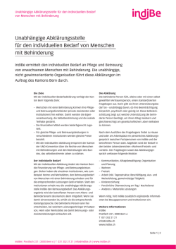 Informationsblatt IndiBe