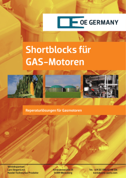 Shortblocks passend f&uuml;r MAN - Lars Siegemund &ndash; Handel