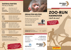 ZOO-RUN - Erlebnis Zoo Hannover