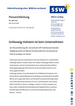 Schleswig-Holstein ist kein Unternehmen