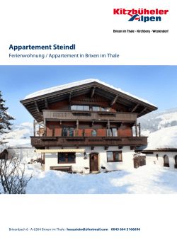 Appartement Steindl in Brixen im Thale