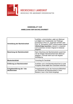 BA-Hinweisblatt - Hochschule Landshut