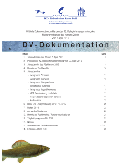 DV-Dokumentation