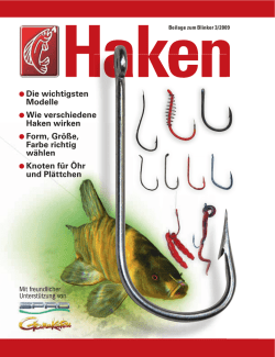 Haken - Blinker