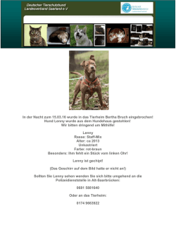 Hund Lenny wurde aus dem Hundehaus gestohlen!