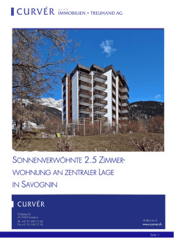 grossz&uuml;gige sonnenverw&ouml;hnte 2.5 zimmer- wohnung