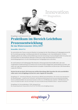 Job Opening as PDF