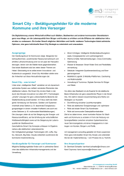 m3-Whitepaper  - m3 management consulting GmbH