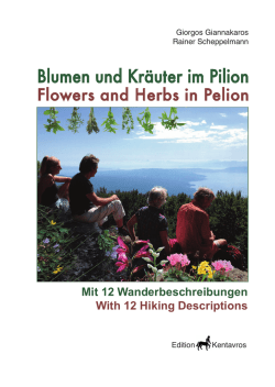 Blumen und Kräuter im Pilion