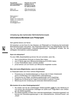 Informationsmerkblatt zum Pilotprojekt