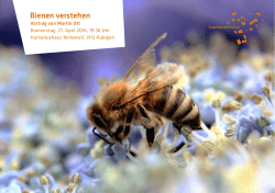 Bienen verstehen - Humanus-Haus