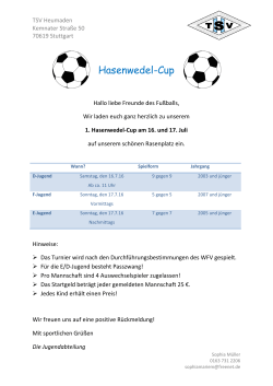 Hasenwedel-Cup - TSV Heumaden Fußball