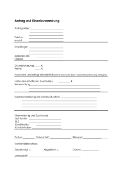 Download: Antrag auf Einzelzuwendung