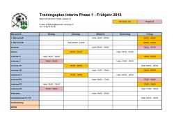 Trainingsplan Interim Phase 1 - Frühjahr 2016 - FC Termen/Ried-Brig
