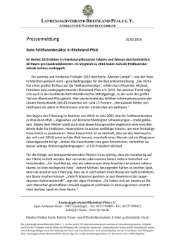 Gute Feldhasenbes&auml;tze in Rheinland-Pfalz