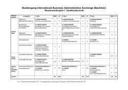 Musterstudienplan Studienabschnitt 1 IBAEX