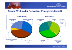 Strom 2014 in der Schweizer Energielandschaft Produktion