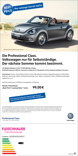 Die Professional Class. Volkswagen nur für Selbstständige. Der