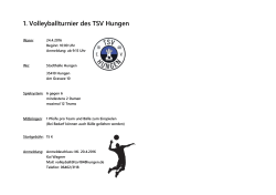 1. Volleyballturnier des TSV Hungen