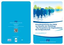 Migration: Entwurf eines Syntheseberichts