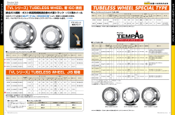 TUBELESS WHEEL SPECIAL TYPE