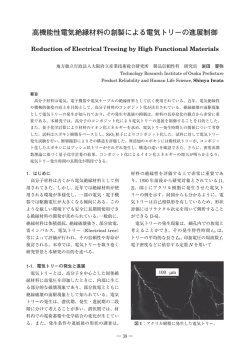 高機能性電気絶縁材料の創製による電気トリーの進展制御