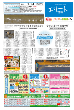 北からの使者 北からの使者