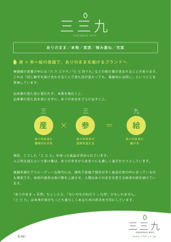 三三九
