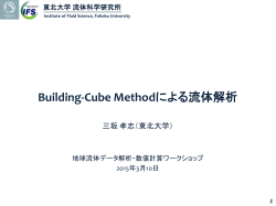 Building-Cube Methodによる流体解析