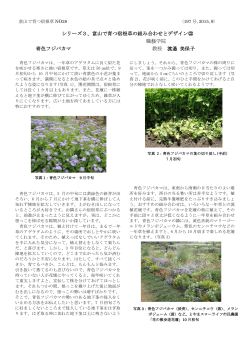 シリーズ3、富山で育つ宿根草の組み合わせとデザイン㉒ 職藝学院 青色