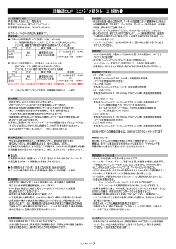 弐輪道CUP ミニバイク耐久レース 規約書