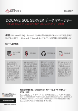 DocAve 6 SQL Server データ マネージャー